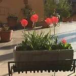 Lägenhet Casa Delle Ortensie *