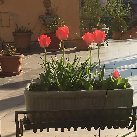 Apartmán Casa Delle Ortensie *